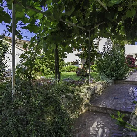 Banko Diana In דירה